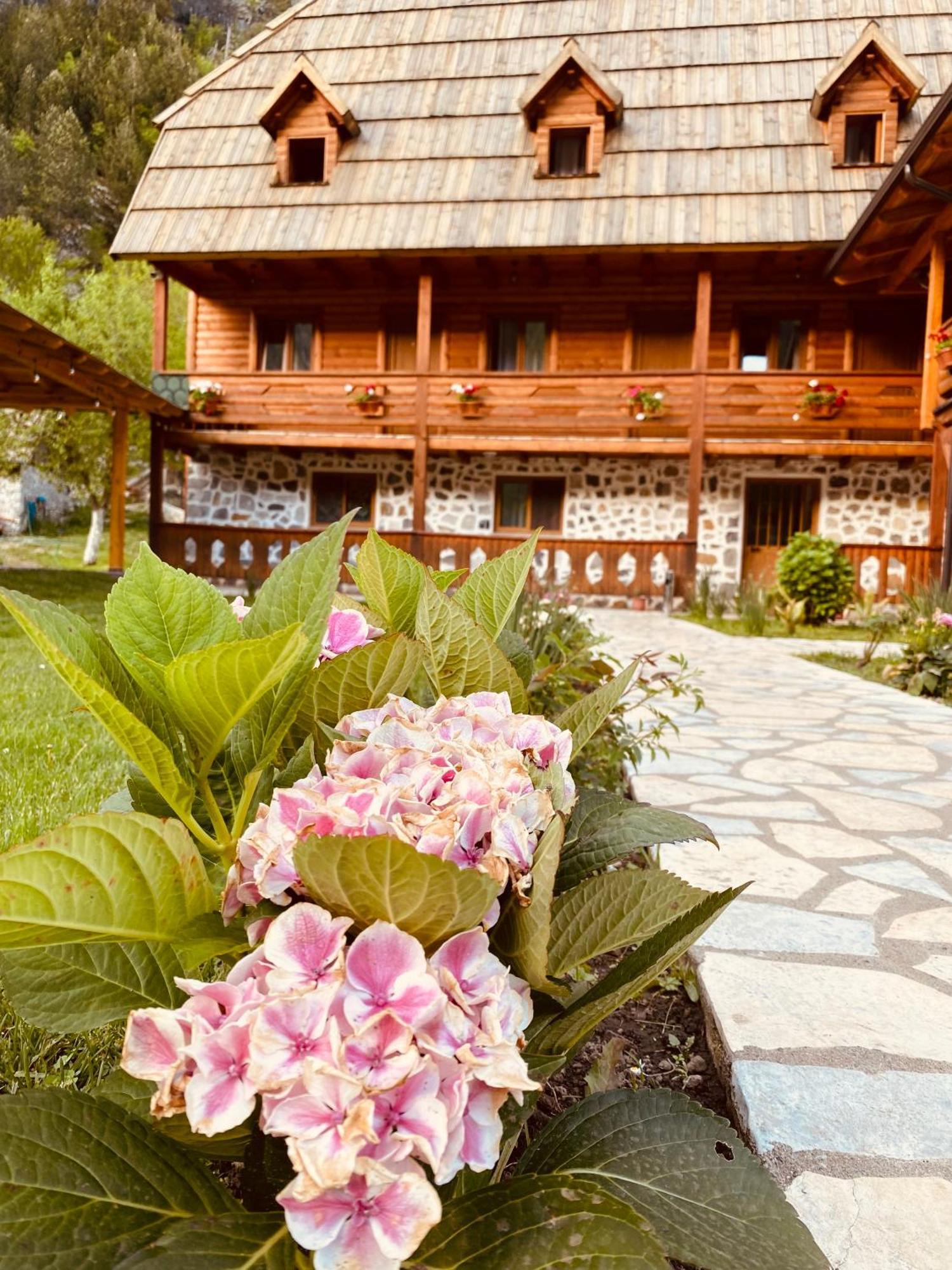 Guesthouse Prrockaj Theth Esterno foto